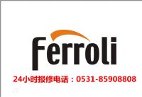ϷFERROLIڹ¯ˮά85908808