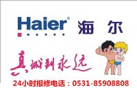 ϺHaierڹ¯ˮά޳85908808
