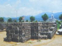 ȿ