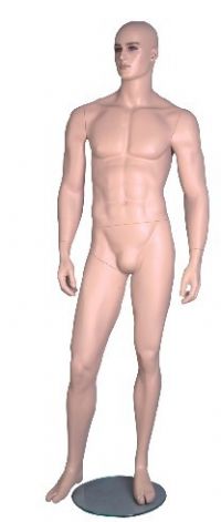 װģ