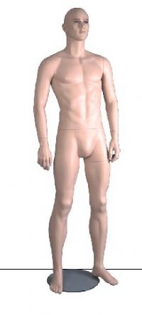װģ