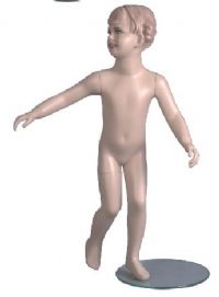 װģ