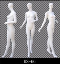 ģض