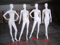 ģض