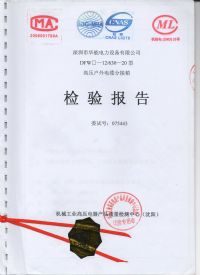 DFW͵·ֽ鱨